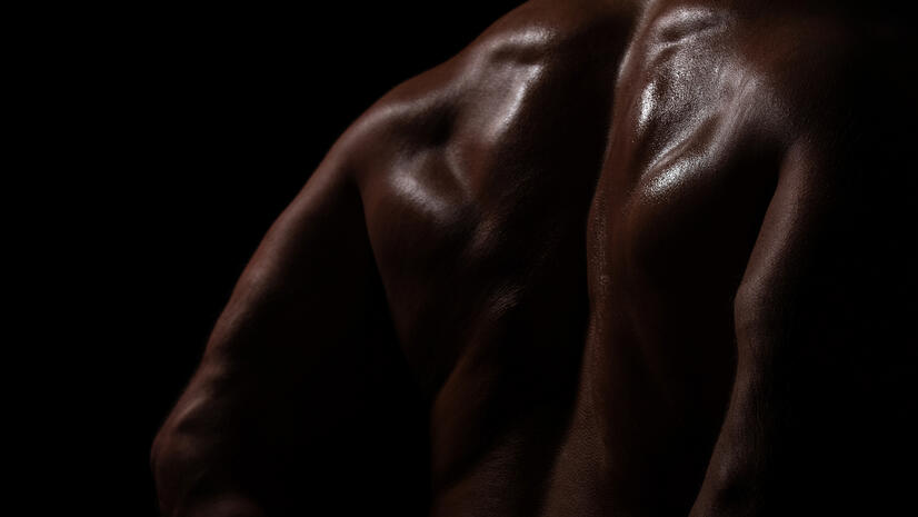 Close sculptural photograph of a bare back and shoulder highlighted against a black background